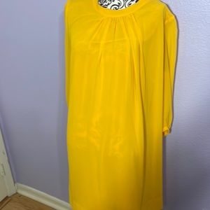 Eva Mendes for NY and Company sheer sleeve dress